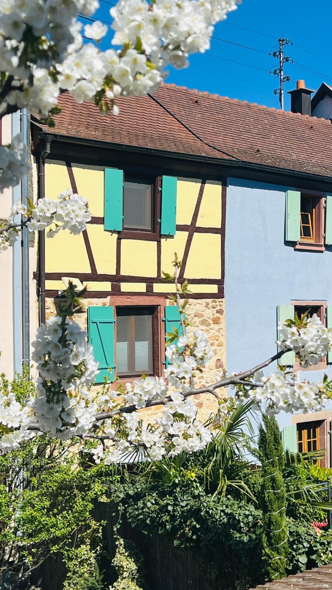 Gite Le Coq Rouge Eguisheim Bagian luar foto